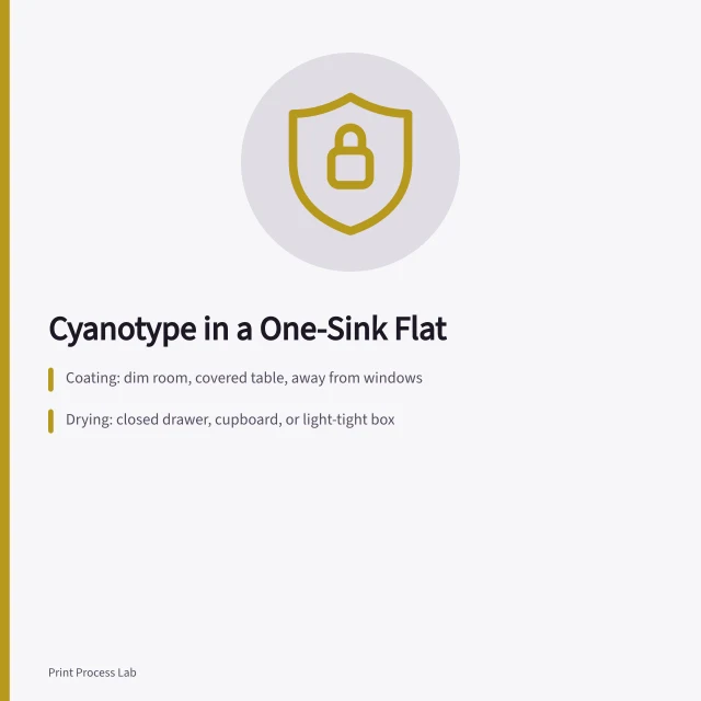 Cyanotype process split across flat: coating, drying, exposure, washing. How to run the cyanotype process safely inside a one-sink flat