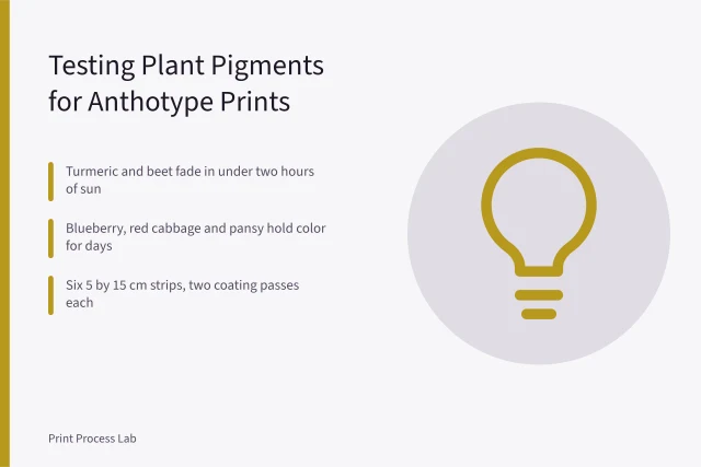 Sunlit paper strips coated with beet, turmeric, berry and spinach pigments. Anthotype Prints Without Spinach: Testing Everyday Plant Pigments at Home