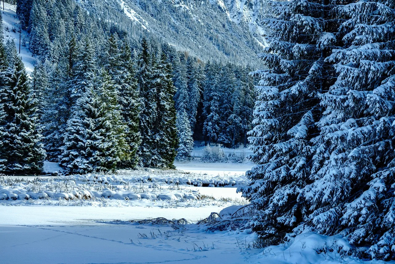 winter, snow, mountains, winter landscape, snow landscape, covered in snow, ice cream, frozen, nature, winter, winter, winter, winter, winter, snow, snow, winter landscape, nature. How cyanotype exposure times change across Canadian winters by province