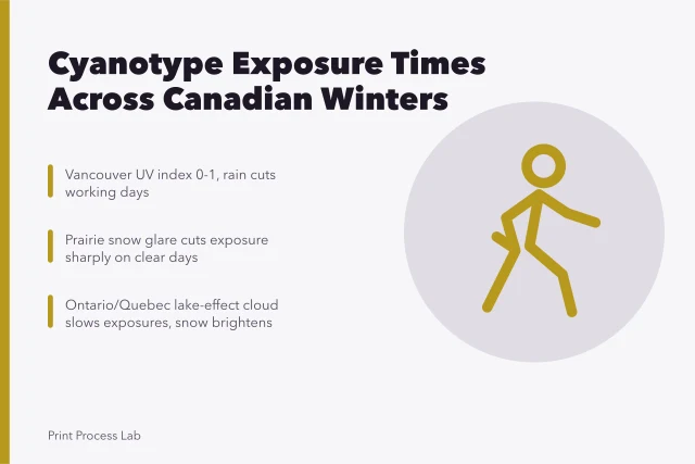 Cyanotype exposure times vary by Canadian province due to UV, snow, and cloud. How cyanotype exposure times change across Canadian winters by province