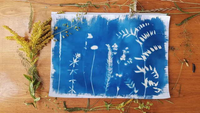 An artistic cyanotype representation of botanical elements with an arrangement of natural plants on a wooden surface. The cyanotype process: chemistry and safety rules